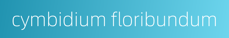 cymbidium floribundum的同义词