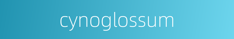 cynoglossum的同义词