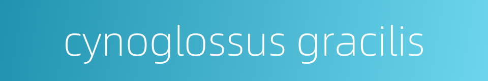 cynoglossus gracilis的同义词
