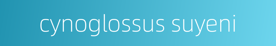 cynoglossus suyeni的同义词