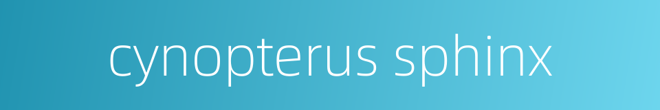 cynopterus sphinx的同义词