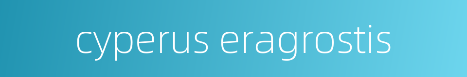 cyperus eragrostis的同义词