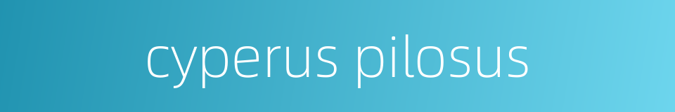 cyperus pilosus的同义词