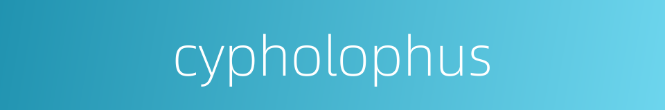 cypholophus的同义词