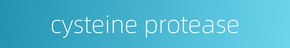 cysteine protease的同义词
