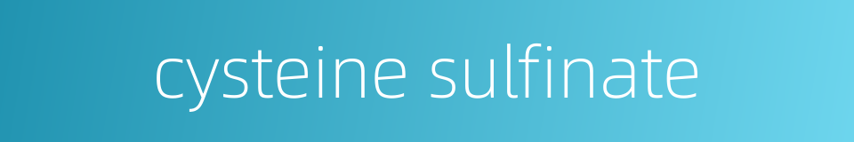cysteine sulfinate的同义词