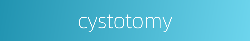 cystotomy的同义词