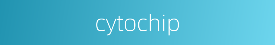cytochip的同义词