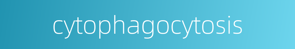 cytophagocytosis的同义词