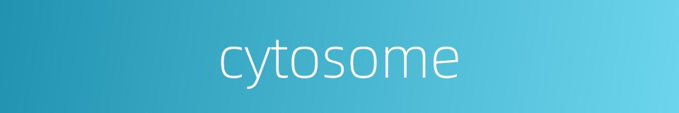 cytosome的同义词