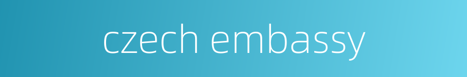 czech embassy的同义词