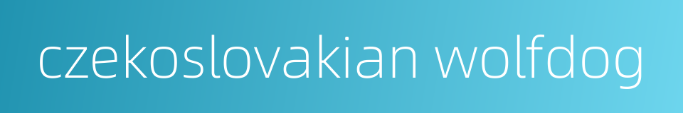czekoslovakian wolfdog的同义词