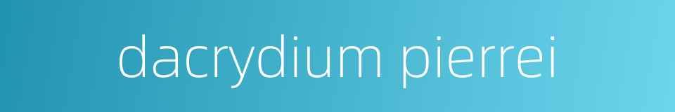 dacrydium pierrei的同义词