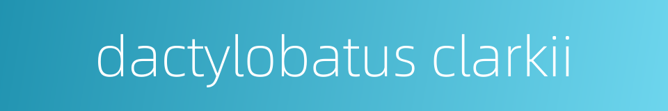 dactylobatus clarkii的同义词