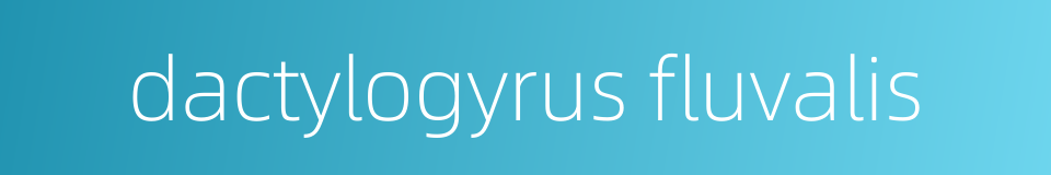 dactylogyrus fluvalis的同义词