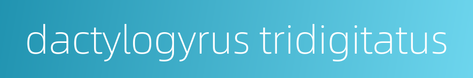 dactylogyrus tridigitatus的同义词