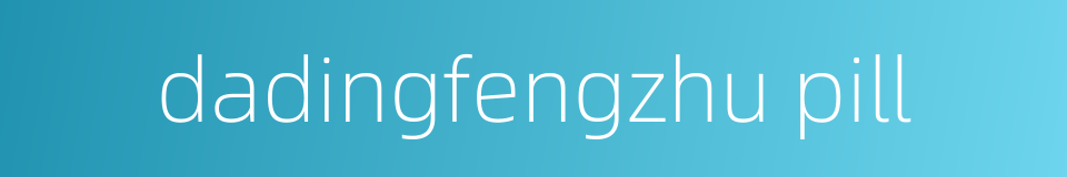 dadingfengzhu pill的同义词