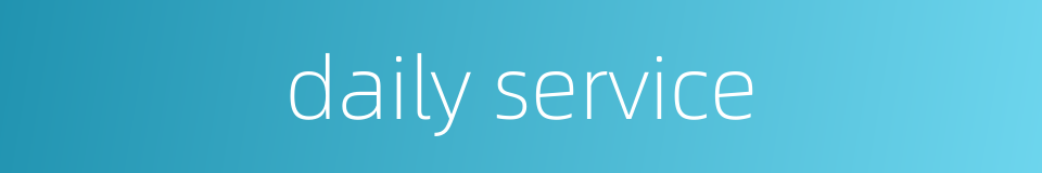 daily service的同义词