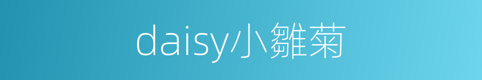 daisy小雛菊的同義詞