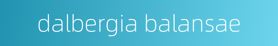 dalbergia balansae的同义词