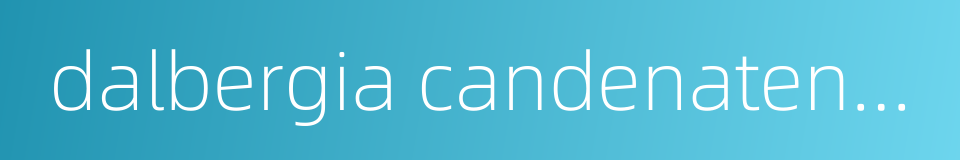 dalbergia candenatensis的同义词