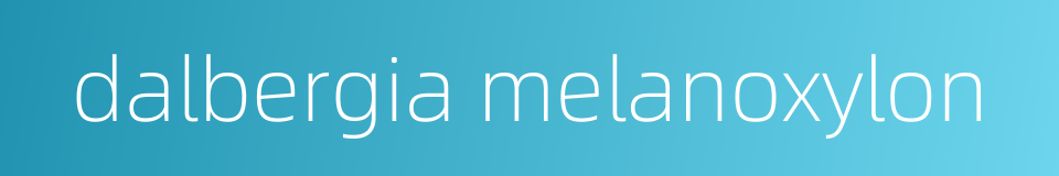 dalbergia melanoxylon的同义词