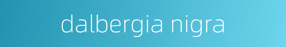 dalbergia nigra的同义词