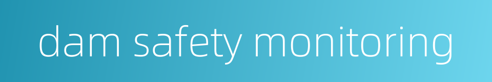 dam safety monitoring的同义词