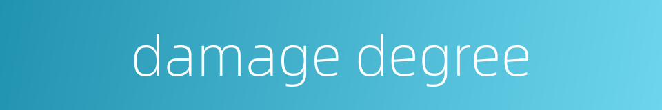 damage degree的同义词