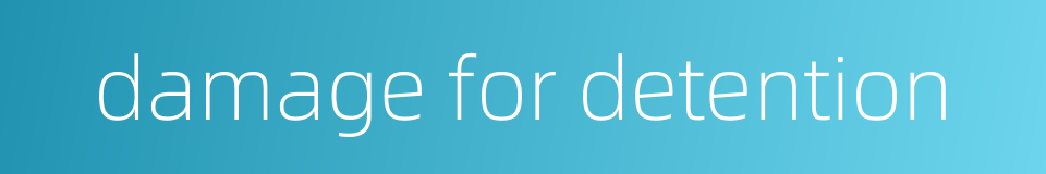 damage for detention的同义词