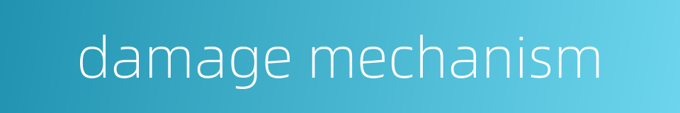 damage mechanism的同义词