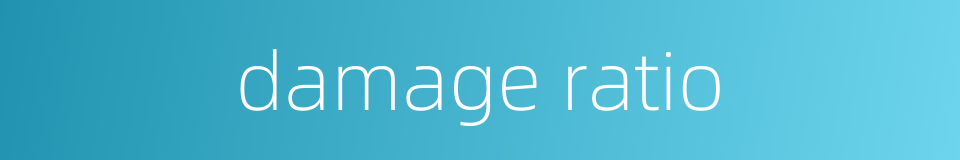 damage ratio的同义词