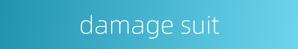 damage suit的同义词