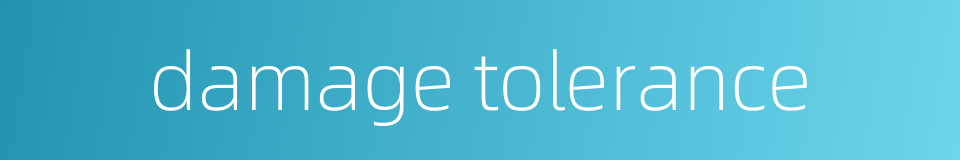 damage tolerance的同义词
