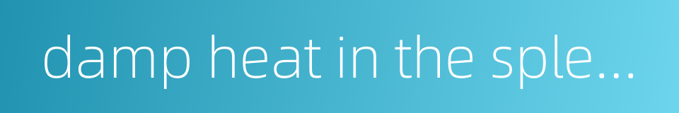 damp heat in the spleen and the stomach的同义词