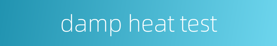 damp heat test的同义词