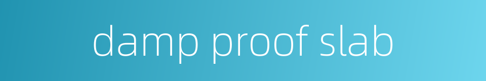 damp proof slab的同义词