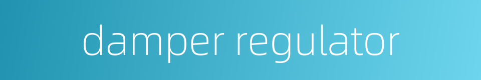 damper regulator的同义词