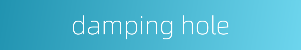 damping hole的同义词