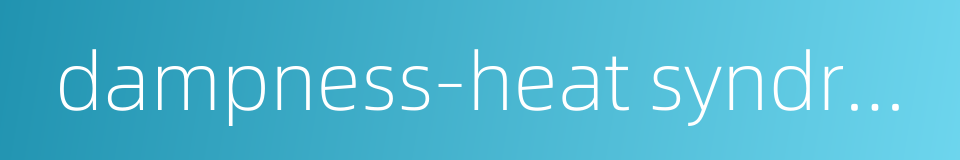 dampness-heat syndrome with predominant dampness的同义词