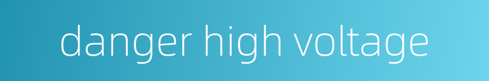 danger high voltage的同义词