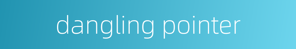 dangling pointer的同义词