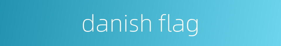 danish flag的同义词