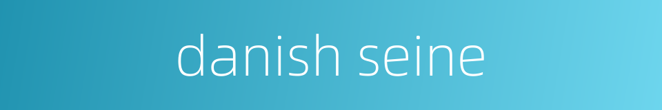 danish seine的同义词