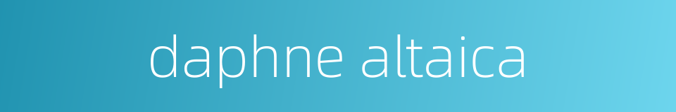 daphne altaica的同义词