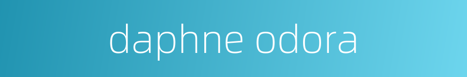 daphne odora的同义词