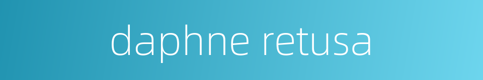 daphne retusa的同义词