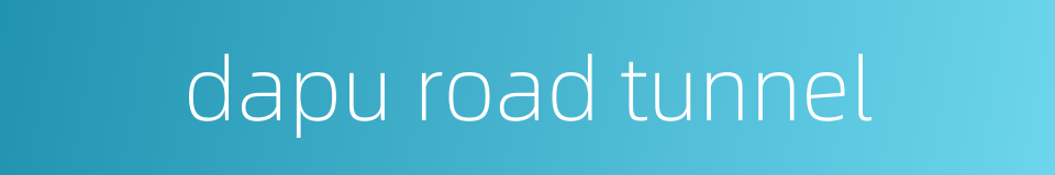 dapu road tunnel的同义词