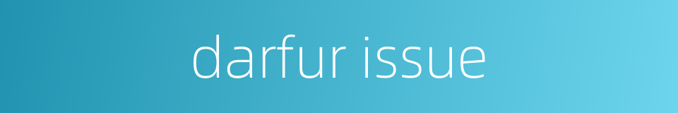 darfur issue的同义词