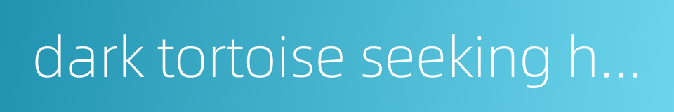 dark tortoise seeking hole的同义词